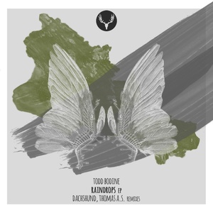 Raindrops (Thomas A.S. Remix)