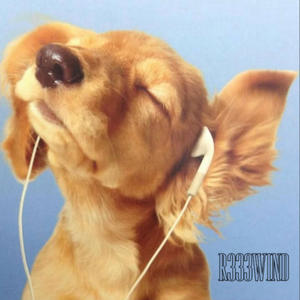 Bridge Walkers (Explicit)