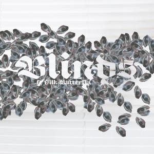 Blinds (Narrator's Edition) (feat. Silk Butterfly) (Explicit)