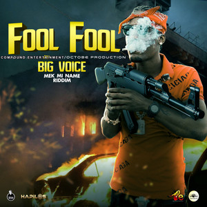 Fool Fool (Explicit)