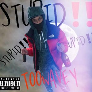 Stupid (Explicit)