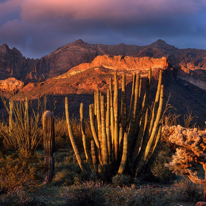 国庆放假不同天数表现