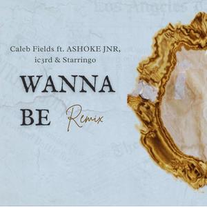 Wanna Be (feat. Starringo) [Remix]