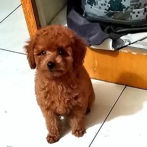 修炼爱情