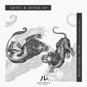 Dense (Johan Dresser Remix)