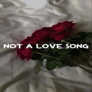 Not A Love Song (Martin&Gina) [Explicit]