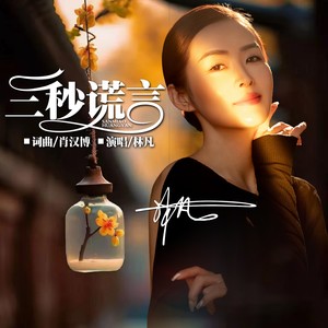 三秒谎言 (DJ版伴奏)