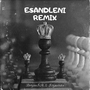 ESANDLENI (ESANDLENI Remix)