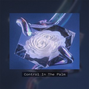 Control In The Palm