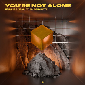 You're Not Alone (Extended Mix)