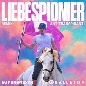 Liebespionier (Remix)