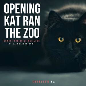 Opening Kat Ran the Zoo