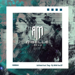 Fly With You (feat. Ting) (Bruce Gibbons Remix)