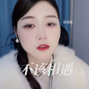 不该相遇 (伴奏)