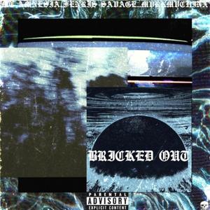 BRICKED OUT (Explicit)