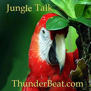 Jungle Talk (Radio Edit)