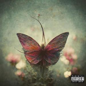 Butterflies EP (Explicit)