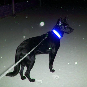 Murder House (Explicit)