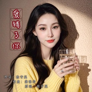 爱错了你 (伴奏)