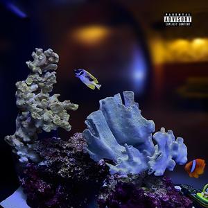 Float (Explicit)