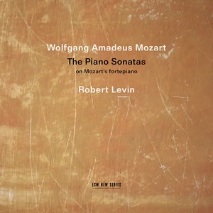 Piano Sonata No. 10 in C Major, K. 330 - II. Andante cantabile