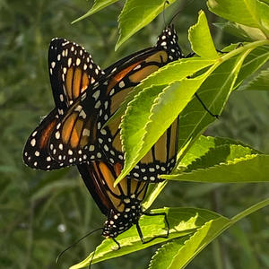 KEEP IT A K (Explicit)