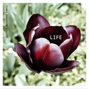 Life (12" extended remix)