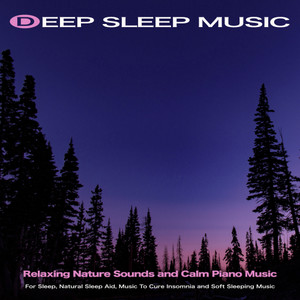 Sleeping Music - Music For Sleeping