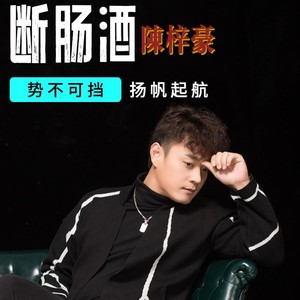 断肠酒 (DJ默涵版)