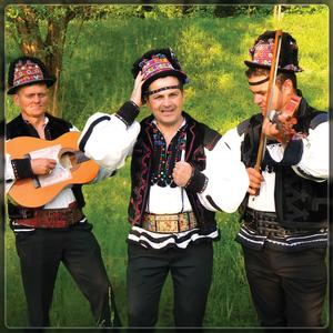 Ce-i place osanului