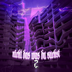 Nicht das was du suchst 2 (Explicit)