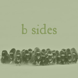 B-sides 4-way Split