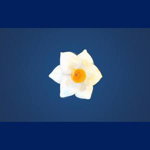 分裂症-a∈A-(ON VOCAL)