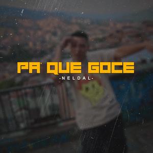 PA QUE GOCE