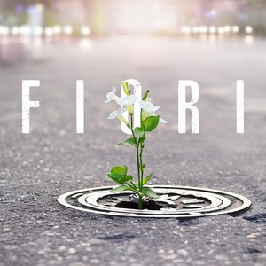 Fiori