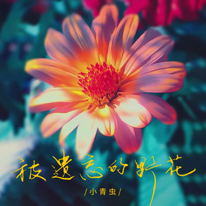 被遗忘的野花