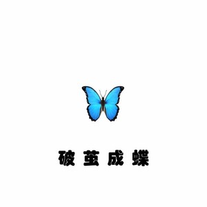 破茧成蝶