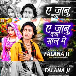 Ae Janu Naya Sal Mian