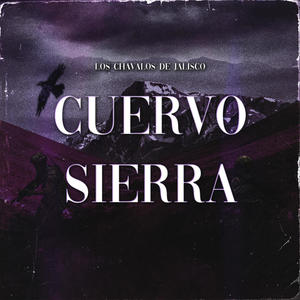 Cuervo Sierra