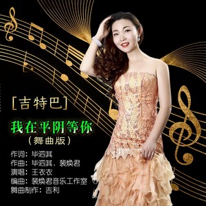 我在平阴等你  吉特巴 (伴奏)