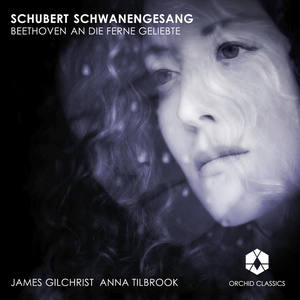 Schwanengesang, D. 957 - No. 1. Liebesbotschaft (艺术歌曲《天鹅之歌》，D. 957)