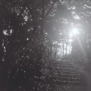 숲속에 그린 집 (A House Drawn in the Forest)