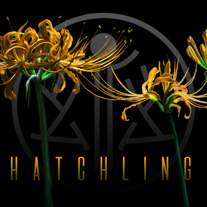 Hatchling