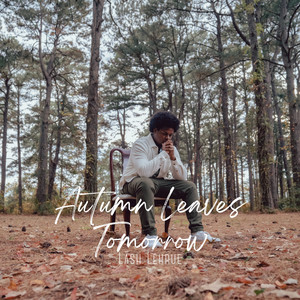 Memories Of You, A Story Written by Cj Irby & Lash Lehrue (Explicit)