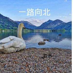 一点点-若书