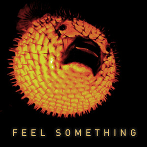 Feel Something