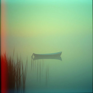 Where Stillness Grows