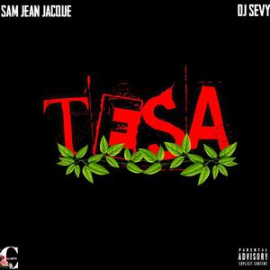 Tesa (feat. DJ SEVY) [Explicit]