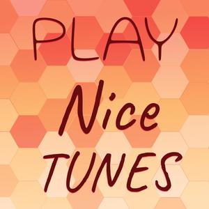 Play Nice Tunes