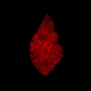 Hinn Sýnilegi Heimur